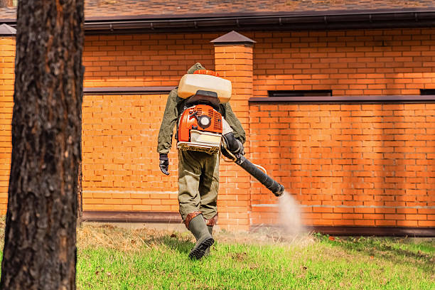 Trusted Cockroach Control service in Henryville, IN - Nex Pest Control